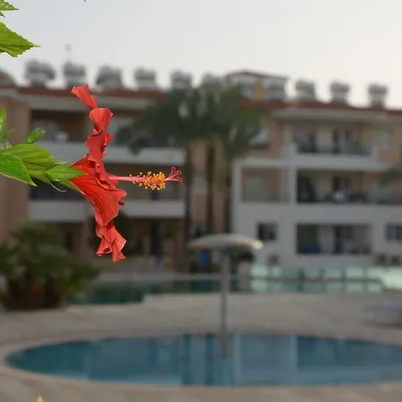 Iris Village